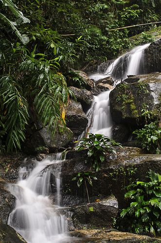 waterfall - Tijuca forest - RJ Brazil