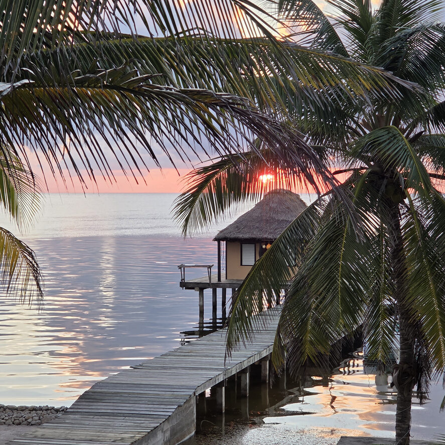View of Tropical sunrise or sunset over the ocean through Palm trees with dock and cabana